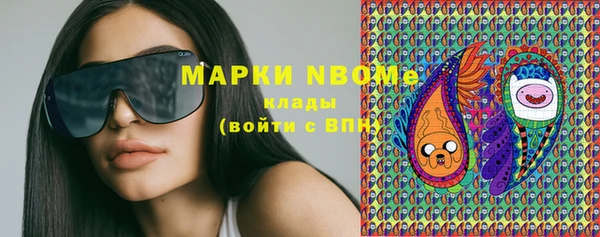 ГАЛЛЮЦИНОГЕННЫЕ ГРИБЫ Елабуга