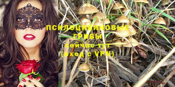 трава Елизово